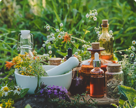 Lavendel Kräuter selber machen
